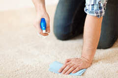 Efficient and Reliable Carpet Odor Removal in Sugar Land, TX