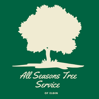 Local Business All Seasons Tree Service of Elgin in Elgin IL