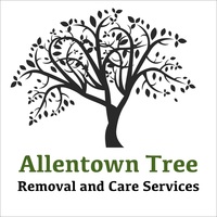 Allentown Tree Removal and Care Services