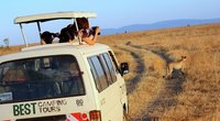 Best Camping Tours and Safaris Ltd
