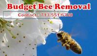Local Business Budget Bee Removal in Houston TX