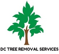 DC Tree Removal Services