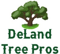 Local Business DeLand Tree Pros in DeLand FL