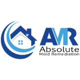 Local Business Absolute Mold Remediation Ltd. in Burlington 