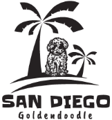 San Diego Goldendoodles