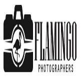 Flamingo Photographers
