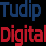 Local Business Tudip Technologies in Campbell 