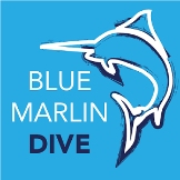 Local Business Blue Marlin Dive in  