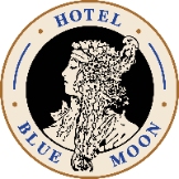 Local Business Blue Moon Hotel in New York 