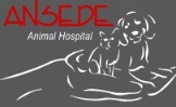 Local Business Ansede Animal Hosptial in Raleigh 