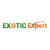 Local Business Exotic Expert Solution in New  Delhi 