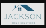 Mold Remediation Jackson MI Pros