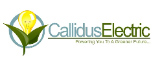Local Business Callidus Electric in Henderson 