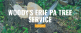 Local Business Woody's Erie Pa Tree Service in  
