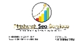 Local Business Pittsburgh Seo Services in  