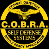 Local Business COBRA Self Defense Training USA in Columbus OH