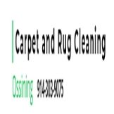 Rug & Carpet Cleaning Service Ossining