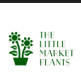 Local Business The little market plants in Brooklyn VIC