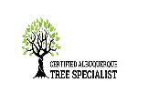 Certified Albuquerque Tree Specialist