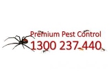 Local Business Premium Pest Control in  