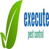 Execute Pest Control Pte Ltd