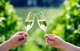 Hunter Valley Wine Tours