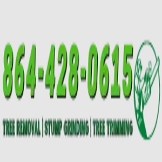 Local Business Master Tree Service, Greenville in Greenville SC