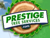 Local Business Prestige Tree Services in Philadelphia PA
