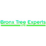 Bronx Tree Pro - Tree Removal, Cutting & Trimming Service