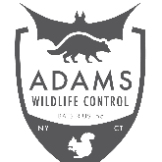 Adams Wildlife Control
