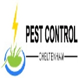 Local Business Pest Control Cheltenham in Cheltenham VIC