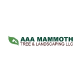 Local Business AAA Mammoth Tree & Landscaping LLC in Tucson AZ
