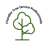 Chandler Tree Service Professionals