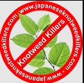 Local Business Japanese knotweed killers in Dublin rd Belfast Northern Ireland