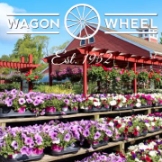Local Business Wagon Wheel in Lexington 