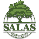 Local Business Salas Tree Service in Oklahoma City 