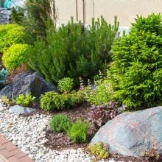Local Business D&D Landscape & Sprinkler Services Inc. in Buffalo Grove 