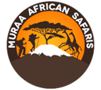 Local Business Muraa African Safaris in Arusha Arusha Region