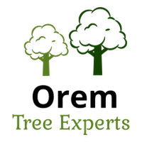 Local Business Orem Tree Experts in Orem UT