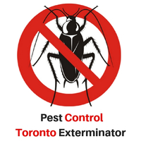 Local Business Pest Control Toronto Exterminator in Toronto ON