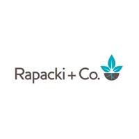 Local Business Rapacki + Co CPAs in Edina MN