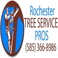 Local Business Rochester Tree Service Pros in Rochester NY