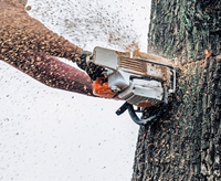 Local Business TREE SERVICES OF MACON in Macon GA