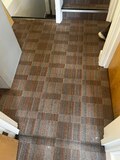 Experience Elegant Carpet Cleaning in Stanmore HA7