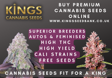 Buy Cannabis Seeds Online UK - Kings Seedbank