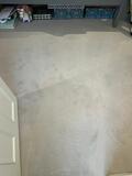 Central London's carpet cleaning experts