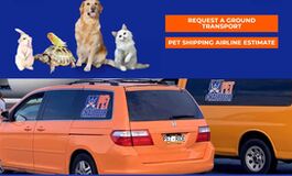 pet airline transportation services in NYC