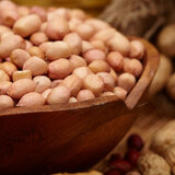 Visit A Leading Indian Peanut Importer