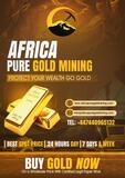 Africa Pure Gold Mining.