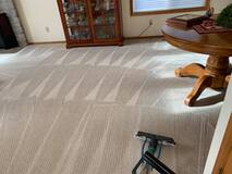 Hillsboro's Choice for Quality Carpet Cleaning